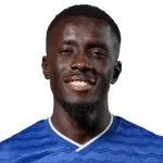 Foto di Idrissa Gana Gueye