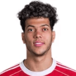 Photo of Emam Ashour