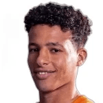 Photo of Khaled Shefo